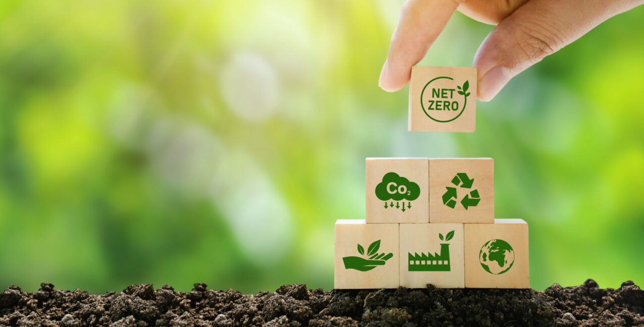 Net Zero And Carbon Neutral Concepts Net Zero Emissions Goals A Climate Neutral Long Term Strategy Ready To Put Wooden Blocks By Hand With Green Net Center Icon And Green Icon On Gray Background.
